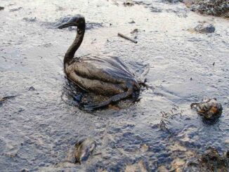 emergency response for Crude Oil
