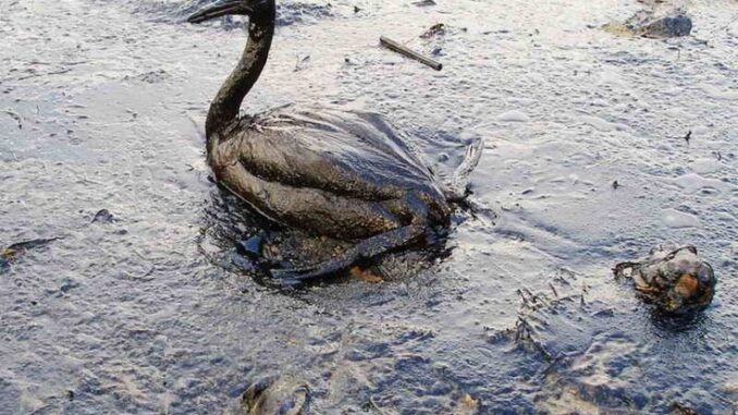 emergency response for Crude Oil
