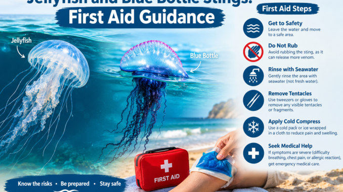 jellyfish sting first aid